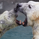 Photo: AP